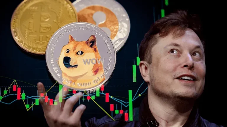 What Influences the Price of Dogecoin: Trends and Future Updates